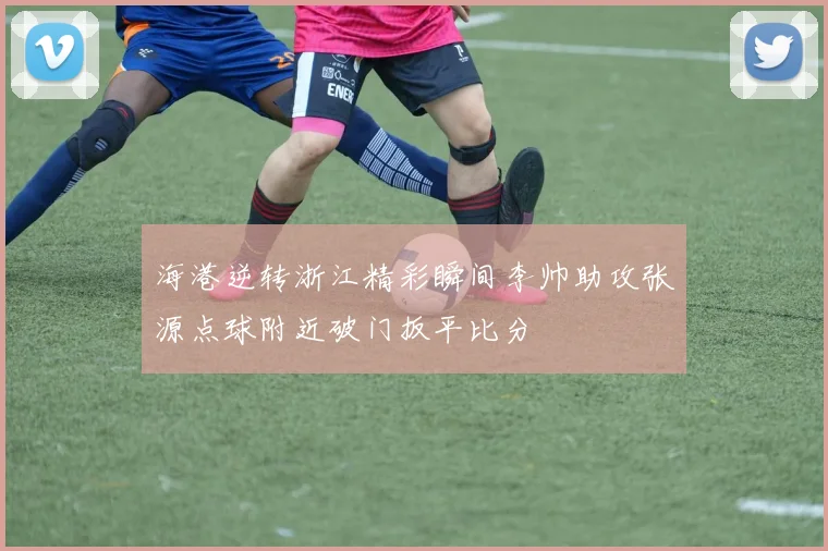 海港逆转浙江精彩瞬间李帅助攻张源点球附近破门扳平比分