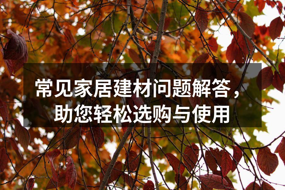 装修材料选择指南
