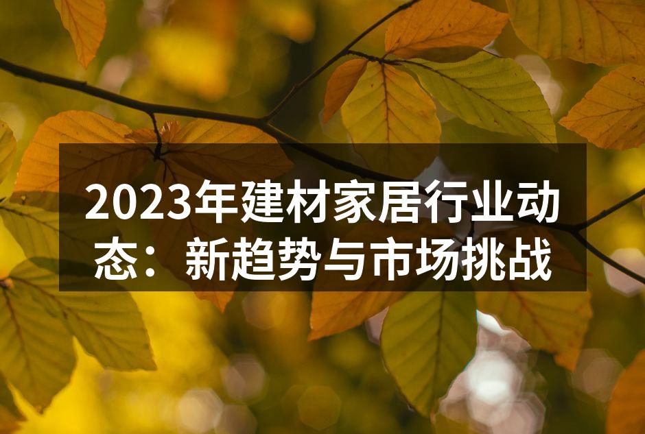 2023年建材家居行业动态：新趋势与市场挑战